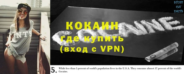 мяу мяу мука Гусь-Хрустальный