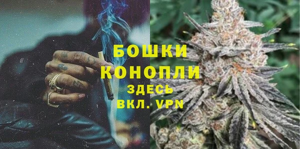 мяу мяу мука Гусь-Хрустальный