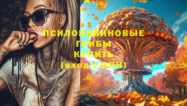 мяу мяу мука Гусь-Хрустальный