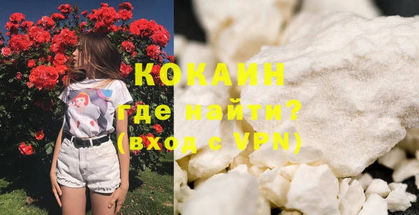 кокс Гусев