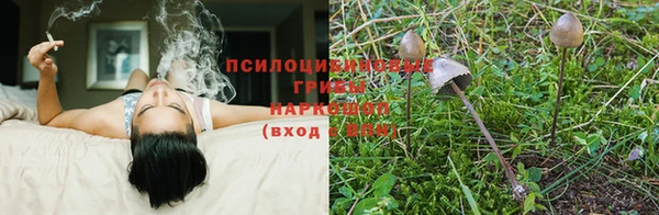 кокс Гусев