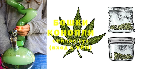кокс Гусев
