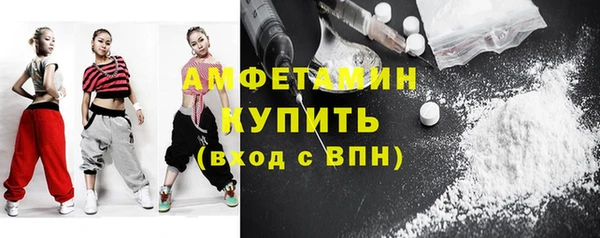 мяу мяу мука Гусь-Хрустальный