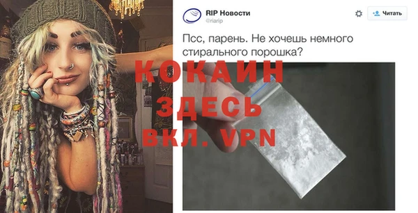 кокс Гусев