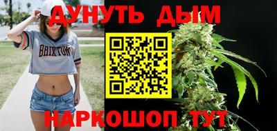 крисы Новокубанск
