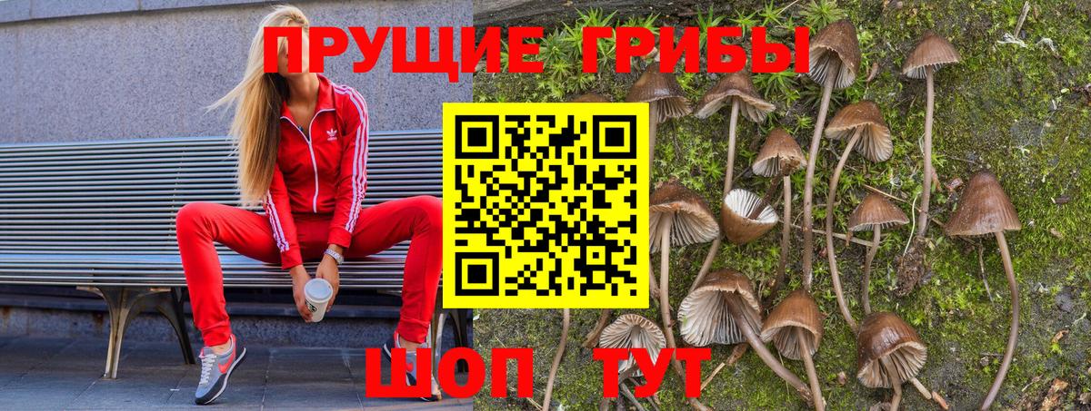 Псилоцибиновые грибы Psilocybine cubensis  Вход с VPN  Сочи 