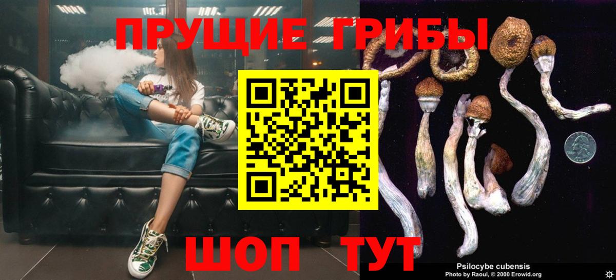Галлюциногенные грибы GOLDEN TEACHER Сочи